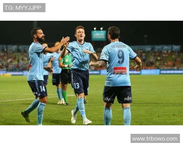 澳超积分榜最新动态分析球队排名变动及其影响因素探讨