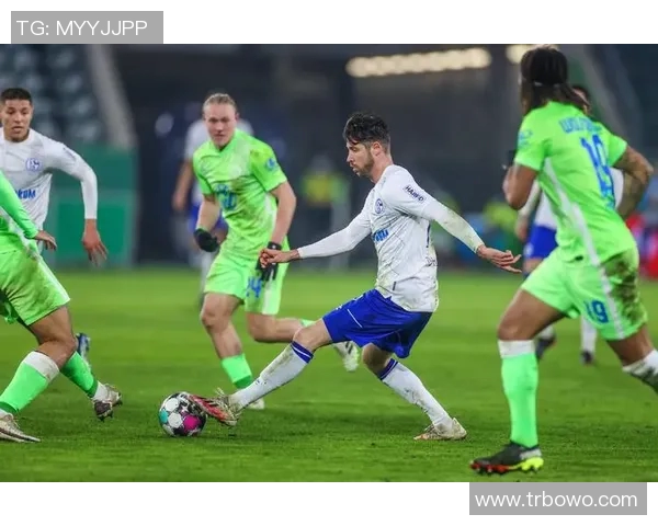 德甲汉诺威战平沙尔克04握手言和比赛火爆收场