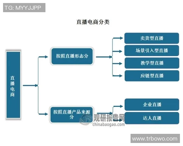 体育赛事网络直播规范研究与实践探讨促进公平公正与观众体验提升