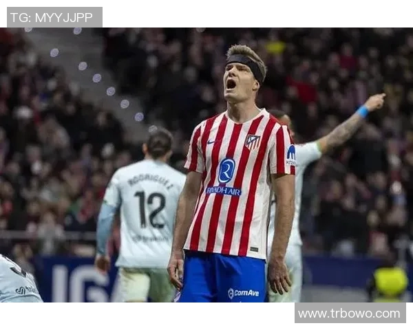 马德里竞技引进新援，全力冲击西甲冠军